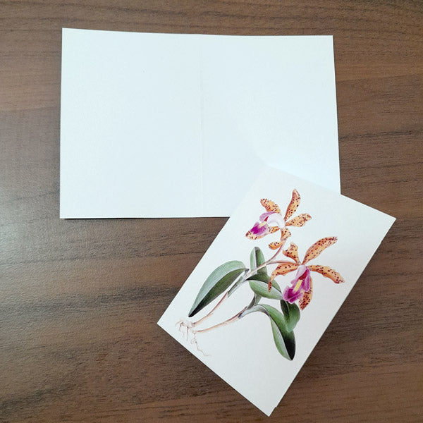 Gift Message Card